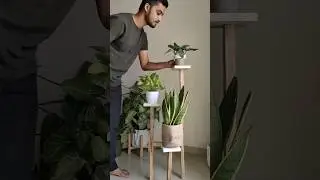 Tiered plant stand #plants #decor #interiordesign