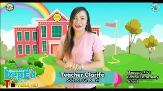 SCIENCE 4 Q2 W4 EPISODE - Stages in the Life Cycle of Organisms