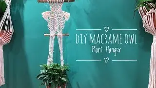 DIY Macrame Owl Plant Hanger Tutorial #2 / Easy For Macrame Beginners