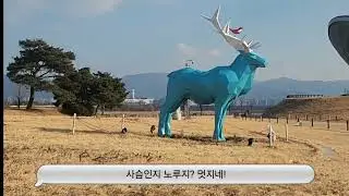 대구 명소! 