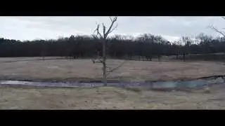 Cap Bailey - Dip-N-Brews (Official Video)