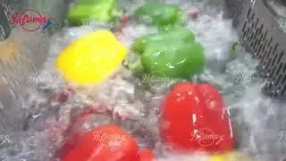 Single Tank Vegetable Fruit Bubble Washer Machine 200-300kg/h - FXFM MACHINE