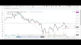 Square Pharma DSE Share Analysis 25.12.2021