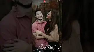 Sweet heart love video status hart fall particle video editor  jingleBits video status maker