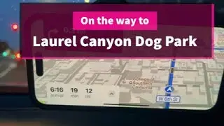 Laurel Canyon Dog Park