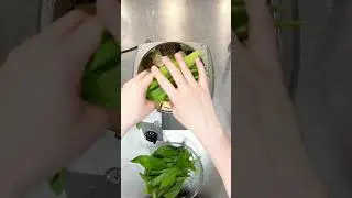 Ramsl&ouml;kspesto med H&Auml;LLDE Snabbhack