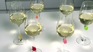 308824 wine glass tags