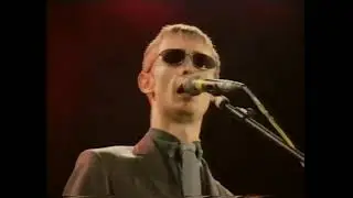 The Divine Comedy - Something For The Weekend Scotland 1996 Stereo master