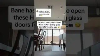 Watch till the end 😭😭 #raisingbane #funny #bigdogs