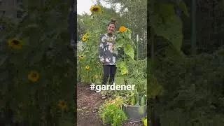 Kim &ldquo;The Gardener&rdquo; Jacobson. #shorts #tinyhomestead