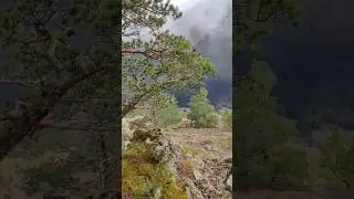 Путешествие по Кавказу #russia #mountains #travel #nature #vlog #shorts #forest #adventure #top