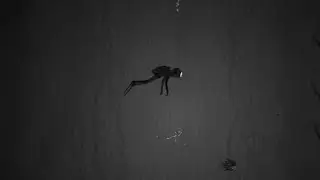 SILT #silt #diver #ocean