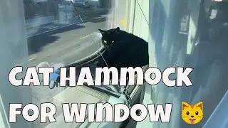 Worried about how sturdy this Cat hammock is?