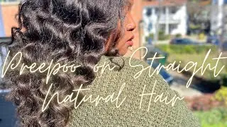 Using an Oil Based Prepoo to Revert My Straight Low Porosity Natural Hair