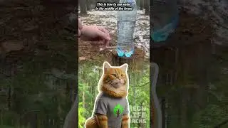 How to use water in the middle of the forest #lifehacks #tips #diy