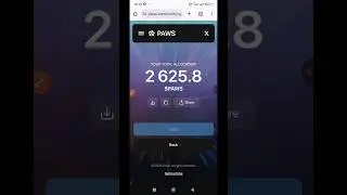 How To Check Paws Allocation | Paws Airdrop Claim | Paws Claim #pawsairdrop #paws #pawsclaim