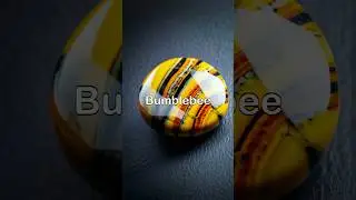 Bumblebee Jasper #spirituality #healing #shorts #fyp