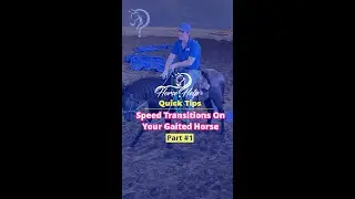 Speed Transitions On Your Gaited Horse! Part 1! | The Horse Guru-Michael Gascon