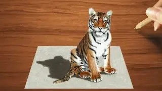 3D Colored Pencil Drawing of a Young Tiger - Speed Draw | Jasmina Susak