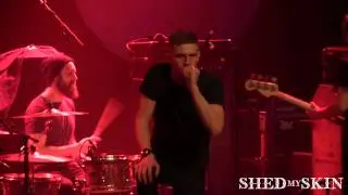 The Kindred - Live in Montreal 2014