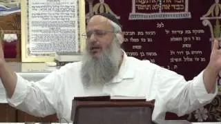 פנינים מפרשת ואתחנן - הרב שלמה לוינשטיין HD
