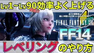 【FF14】初心者必見!! 効率よく上げるレベリングのやり方を紹介！Lv1~Lv90まで【レベル上げ】