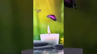 333 /06102023