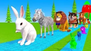 Long Slide Game With Elephant Gorilla Buffalo Hippopotamus Tiger 3d Animal Game Funny 3d Animals811
