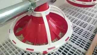 The automatic feeding system