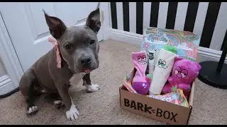 Bark Box opening 420 edition.