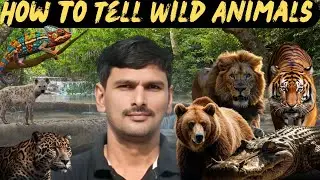 🔴 Class 10 English | Poem 4 &ndash; How to Tell Wild Animals | Central Idea & Stanza Wise Explanation