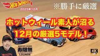 勝手に厳選 ホットウィール素人が沼る12月の厳選5モデル ベーシックカー ジャガー メルセデスベンツ AMG マツダ787B RX-3 ホンダ シビック 開封 レビュー アップ撮影 ミニカー