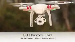 DJI Phantom FC40 - HeliPal.com
