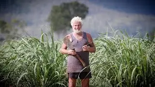 Do Australians Need a Sugar Intervention? | Times Documentary