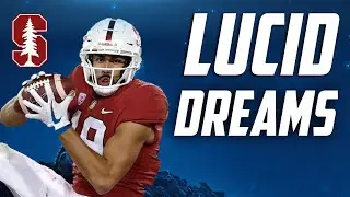 JJ Arcega-Whiteside Highlights🔥 Man Among Boys 💪🏽 Stanford WR 2018-19 ᴴᴰ