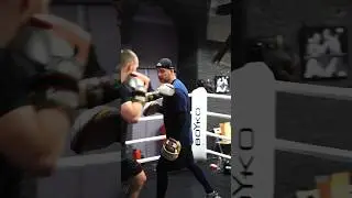 БОКС: STIFF ARM (ЖЕСТКАЯ РУКА) #бокс #шталь