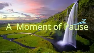 A Moment of Pause 🌿 | Soft Morning Calm ☀️ | Gentle Healing Music