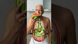 What Happens INSIDE an Indian Old Man&rsquo;s Gut When He Eats Watermelon? 🍉