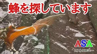 PS5　ARK  ASA公式PVE 　ロストコロニー　蜂を捕まえたい