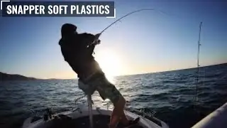 This Snapper Spot Never Disappoints! Soft Plastic  Fishing on the South Coast