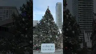 check the full video in our channel 🙂 #toronto #brasileirosnocanada #snow #winter