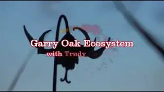 Garry Oak ecosystem plants of Protection Island - Part 1 of 3