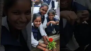 5june happy world environment day 2024 #environmentday2024 #5june  #environmentalfacts