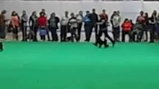 DSCN0842