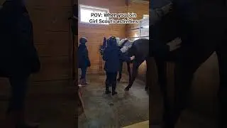 Learning about #horse #basic  #horsebackriding #lessons #fallactivities #girlscouts #centralillinois