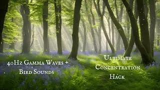 Ultimate Concentration Hack | 40Hz Gamma Waves + Bird Sounds  - [Binaural Beats]