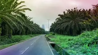 Lofi Stroll