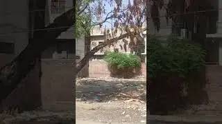 top,best,idealPlot For Sale Revenue Employees Cooperative Society✅ 1.5crore #03246227777#new#top#one
