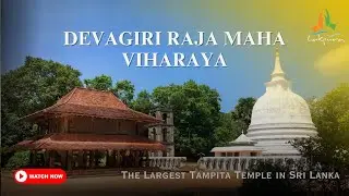 Devagiri Raja Maha Viharaya | The Largest Tampita Temple in Sri Lanka #buddhism  #largesttemple