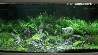 Aquarium Ideas - planted aquariums of Heimtiermesse 2014, Hannover, pt. 4